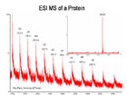 Protein/Peptide Analysis