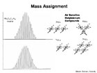 Molecular Weight Analysis