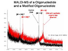 Oligonucleotide Analysis