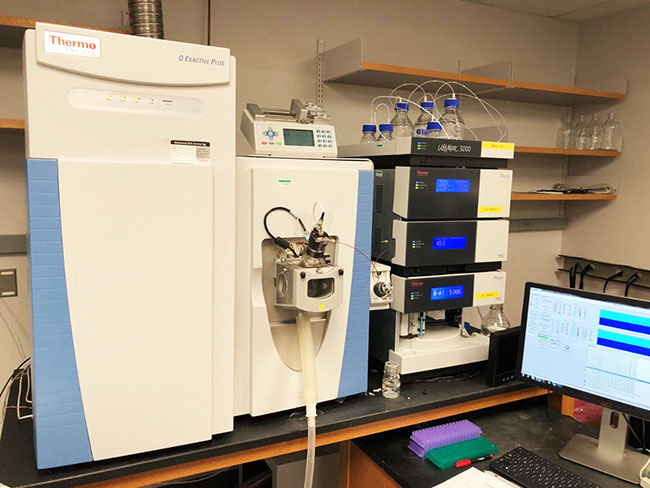 Thermo QE Metabolomics